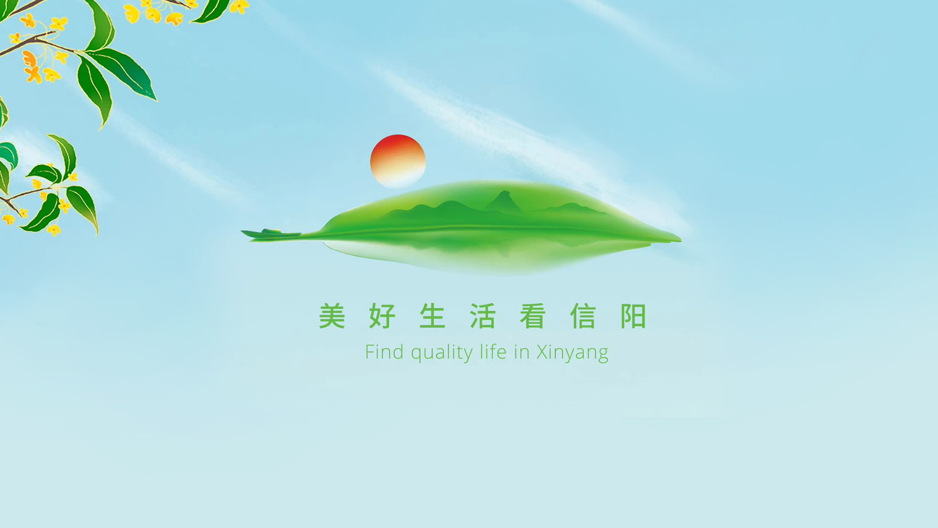 一葉一世界——信陽城市品牌形象發布